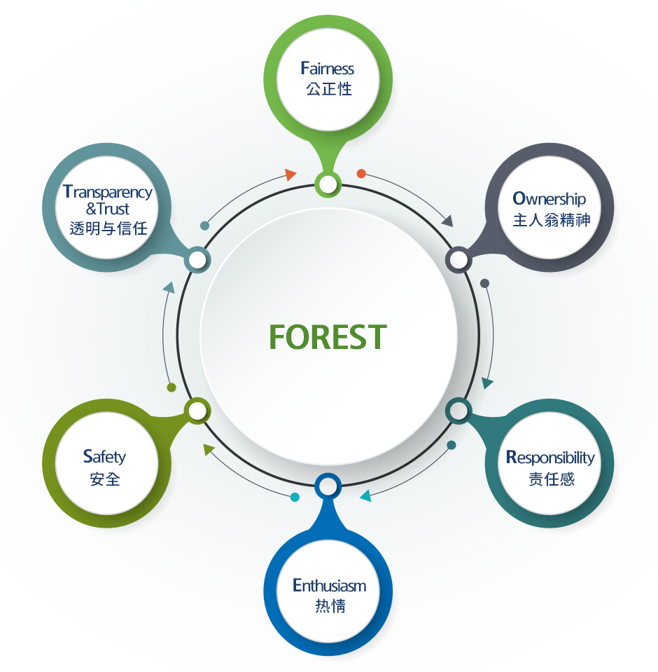 公正性、主人翁精神、责任感、热情、安全、透明与信任。